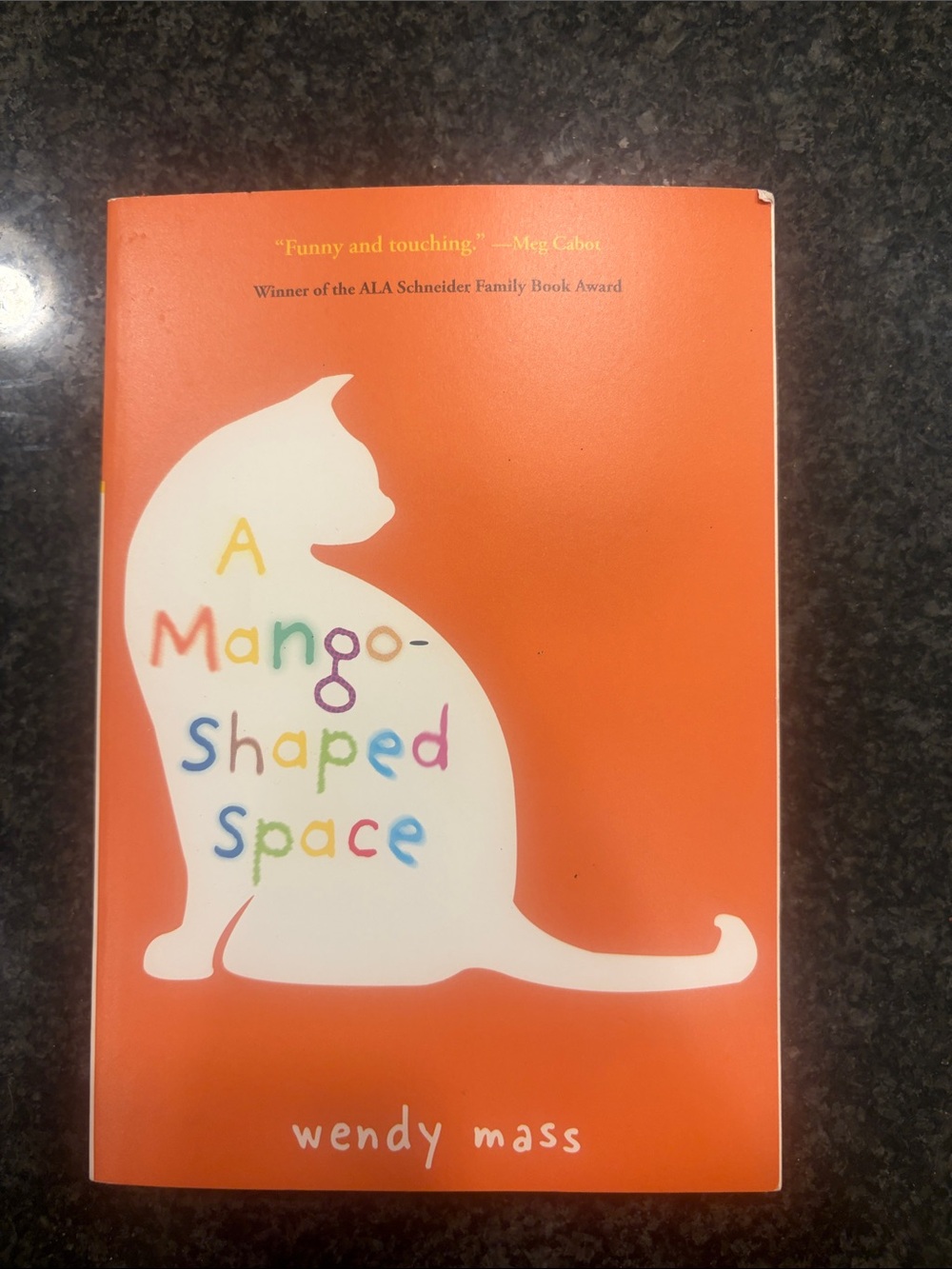 A Mango-Shaped Space Cat Book - Orange